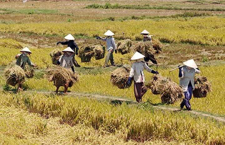 Bán Hàng Online Siêu Hiệu Quả với Hotspot Matrix