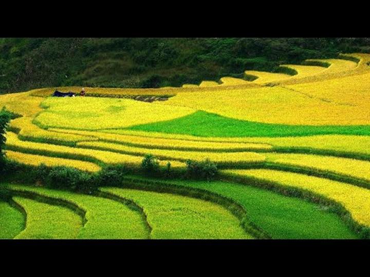 Tương lai video ngắn: Hotspot Matrix và cuộc cách mạng nội dung