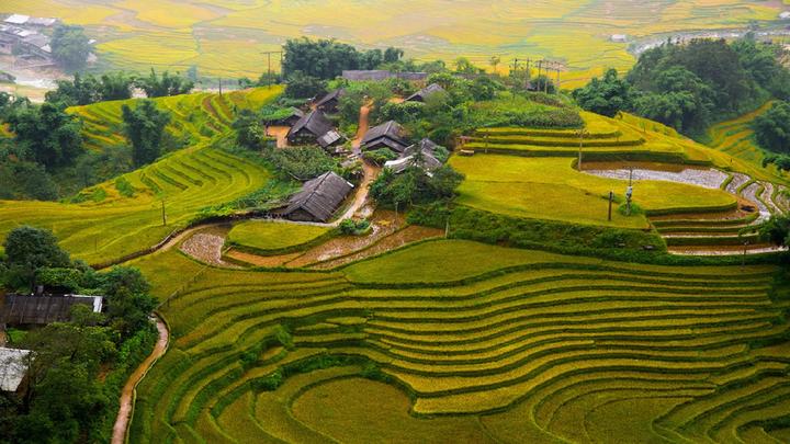 Từ 3 kiểu giày 