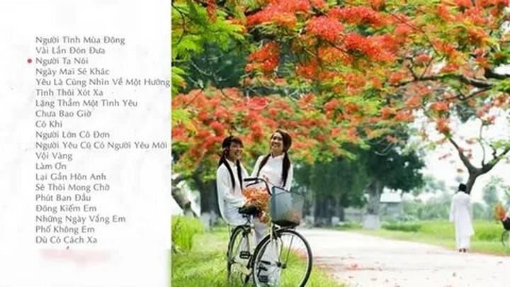 Gỗ và Video: Kết nối nghệ thuật truyền thống với công nghệ hiện đại