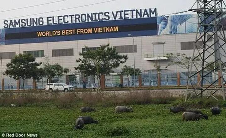 Triệu hồi sức mạnh video ngắn: Hội thảo chiến lược Marketing từ Hotspot Matrix